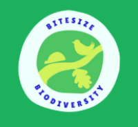 Bitesize Biodiversity - Spring